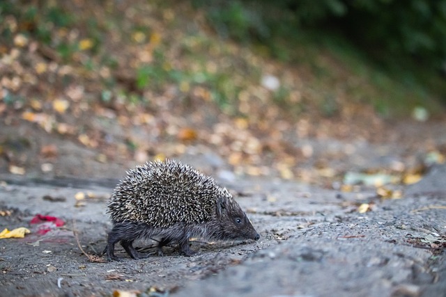 1998年，卡洛斯面对特内里费的进球，技惊四座！.