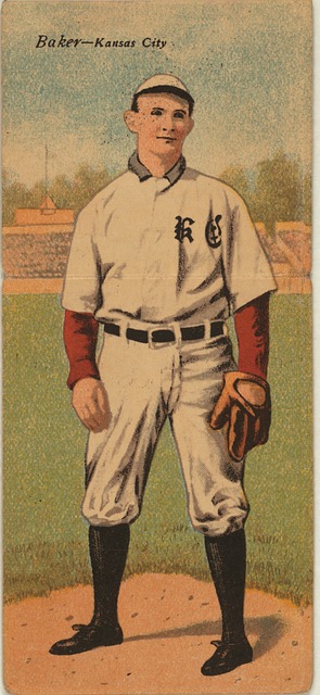 是该项目的 是该项目的