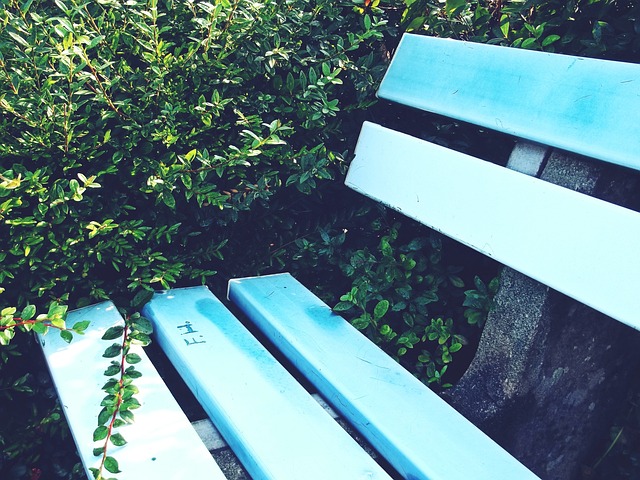 爱好者深深 爱好者深深