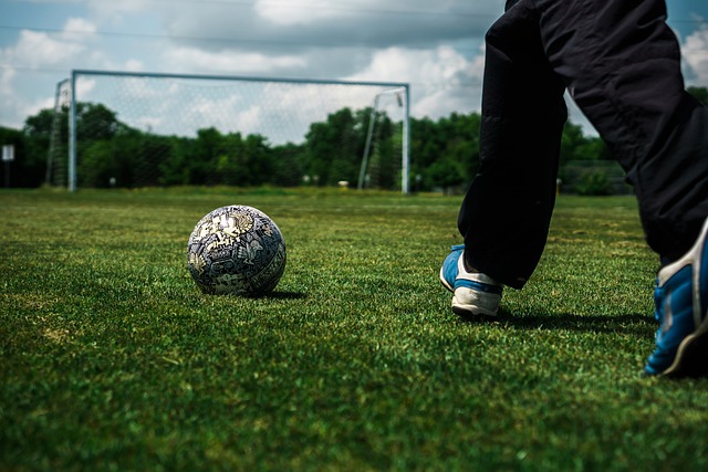 是他们在季 是他们在季