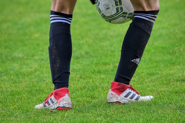 传统的标签 传统的标签