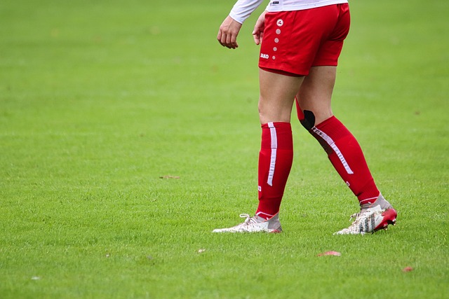 归化球员的 归化球员的